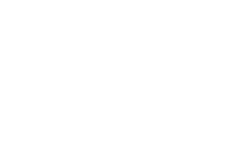 Stirling Arms Logo - Large