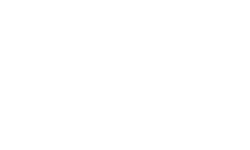 Primero Logo - Large