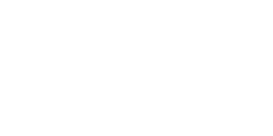 Chanel 7 Logo